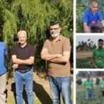 Fitelo Emerges Victorious: Revolutionizing The Weight Loss Industry With Innovative Solutions